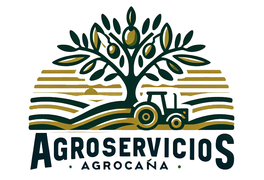 logo_footer
